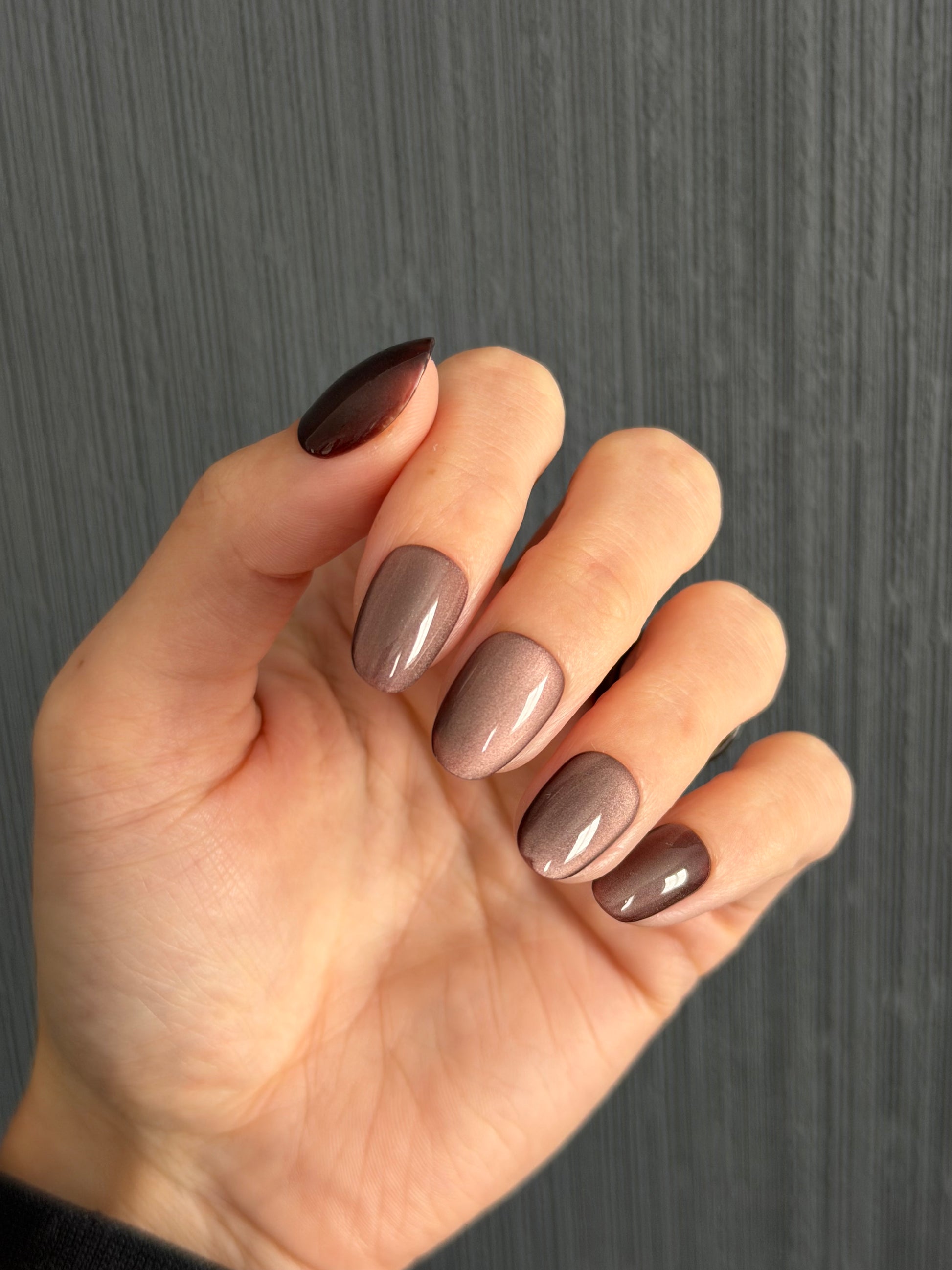 Cashmere Cocoa